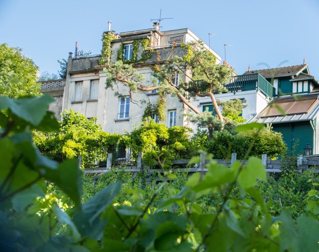 Les Plumes Hotel