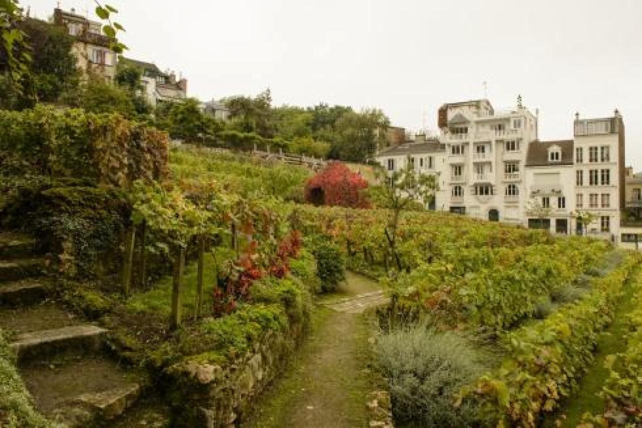 Les Plumes Hotel