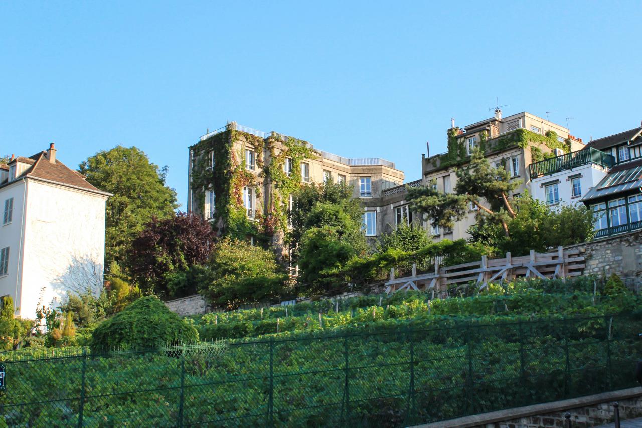 Les Plumes Hotel