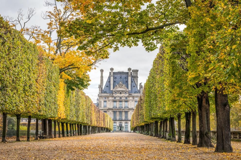 Les Plumes Hotel - Paris